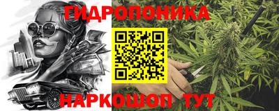 крисы Гай