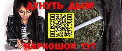 крисы Гай