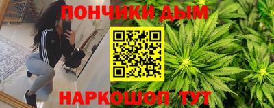 крисы Гай