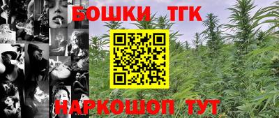 крисы Гай