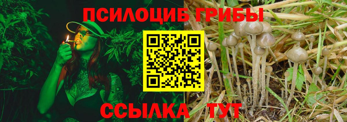 Галлюциногенные грибы Magic Shrooms Нижний Новгород